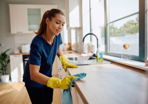 Young housemaid cleaning the kitchen counter.